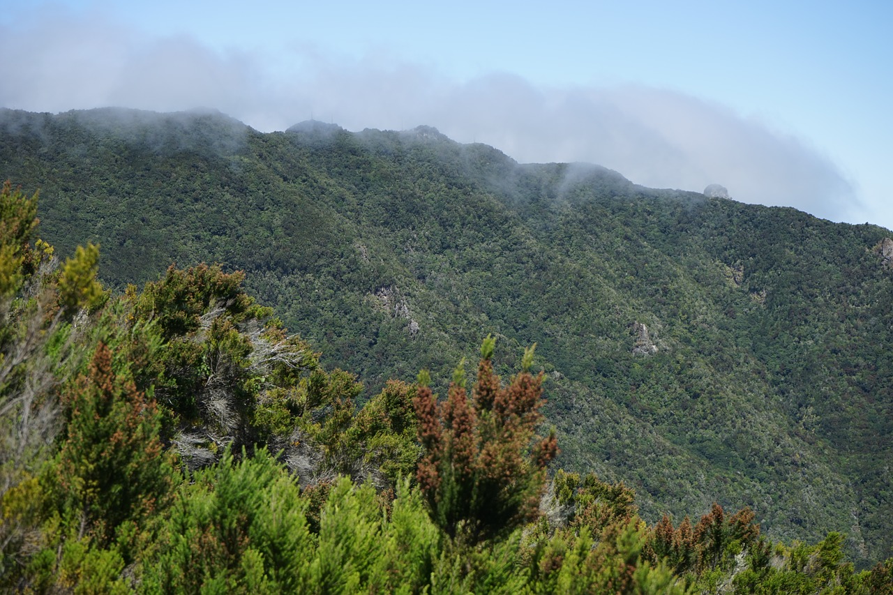 ananagebirge viewpoint tenerife free photo