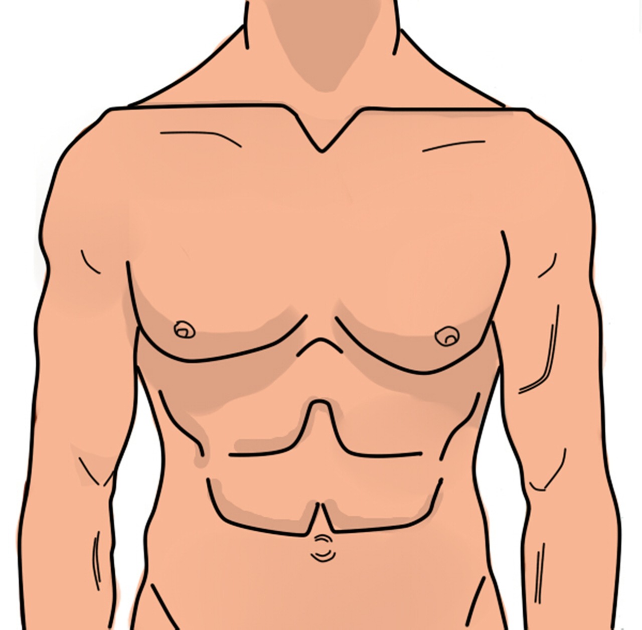 anatomy man abdomen free photo