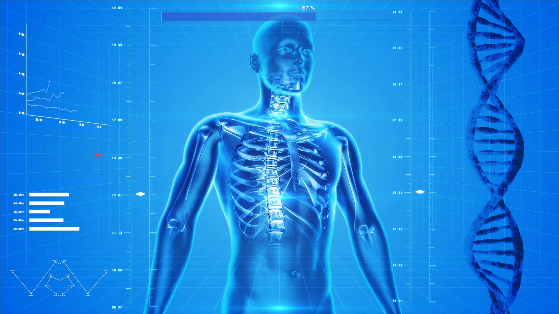 human skeleton the human body anatomy free photo