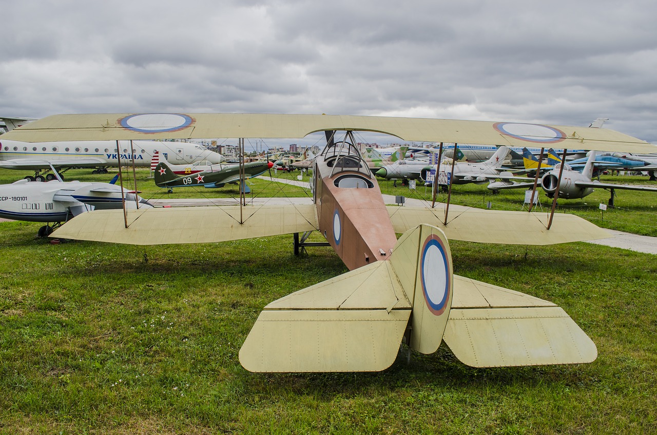 anatra-anasal vintage plane free photo