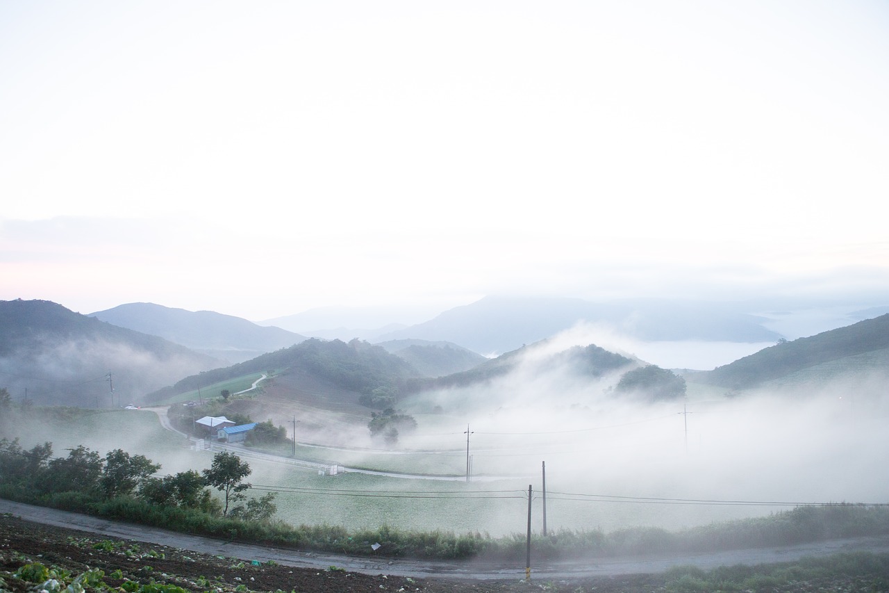 anban degi gangneung fog free photo