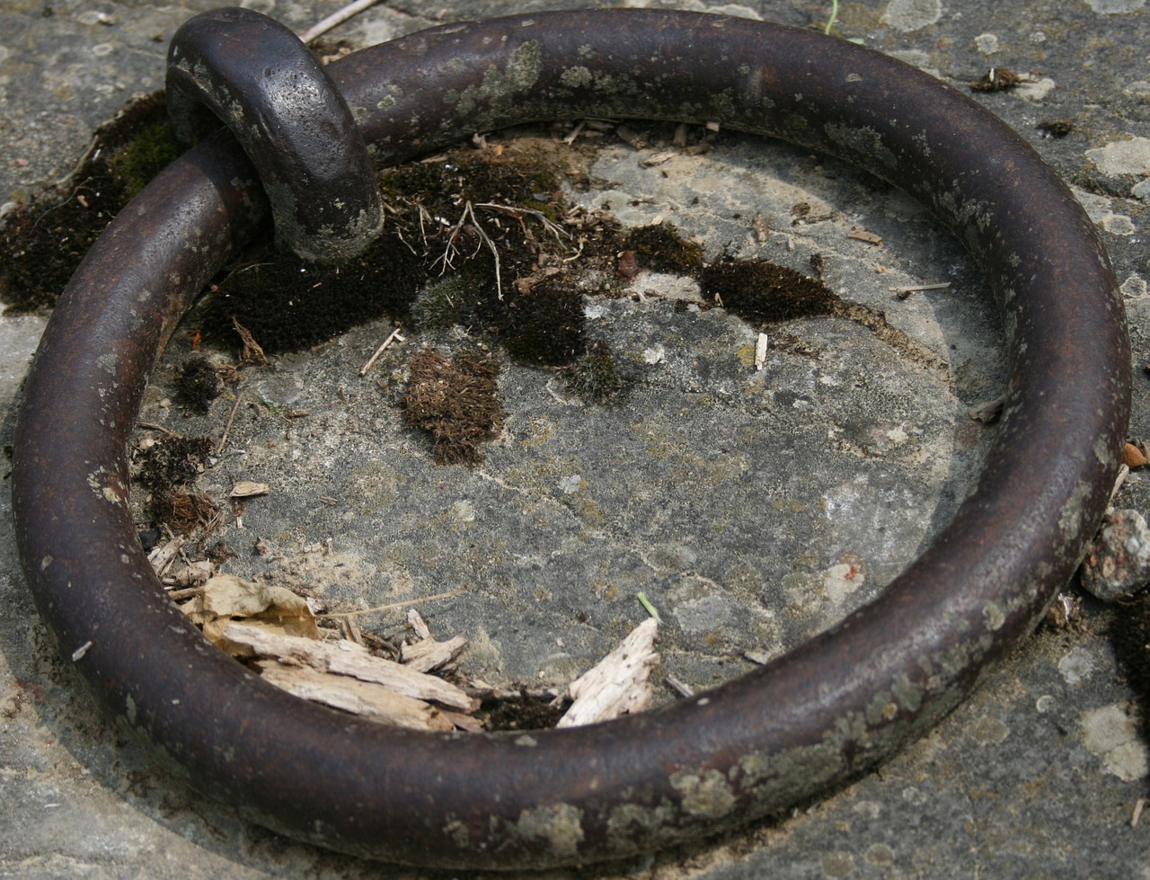 anchor robust france free photo