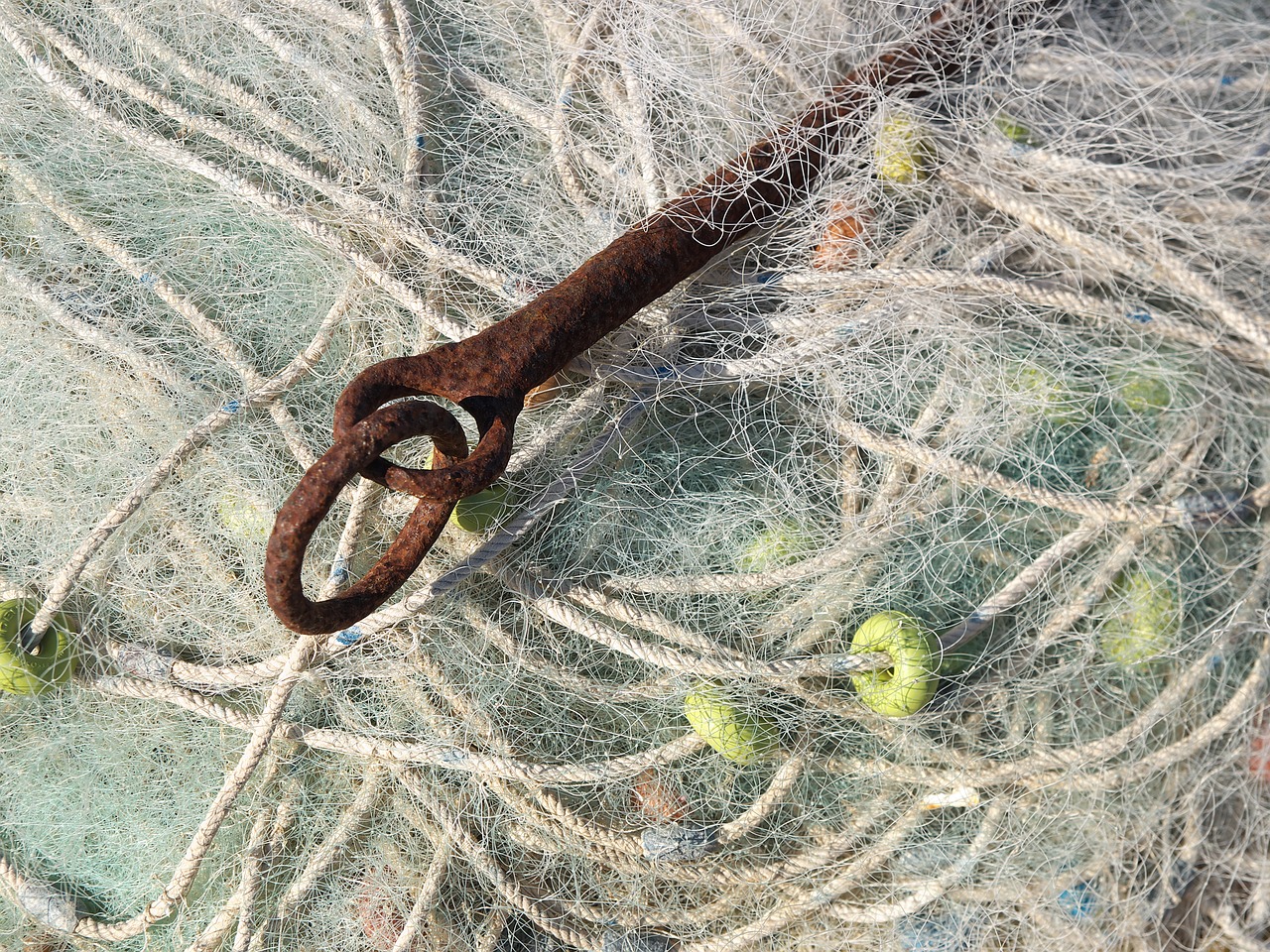 anchor fishing net fleet free photo