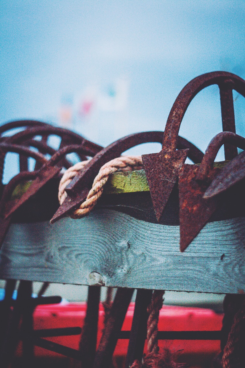 anchor sea rope free photo