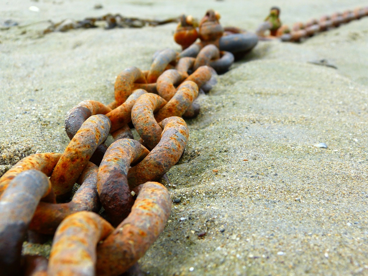 anchor chain metal stainless free photo