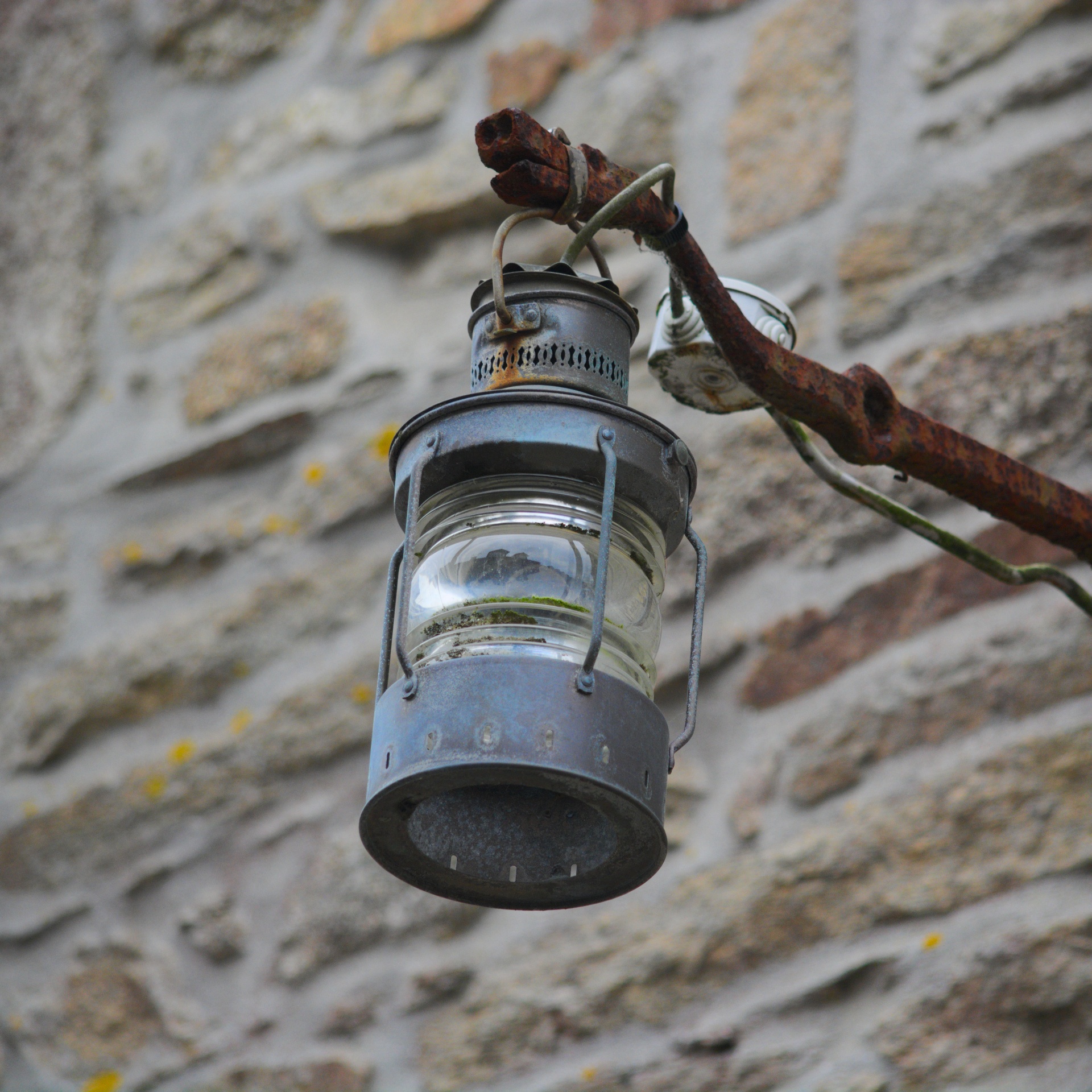 lantern light lighting free photo