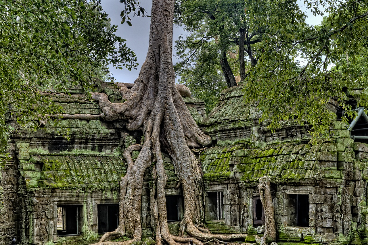 ancient  angkor  angkor wat temples free photo