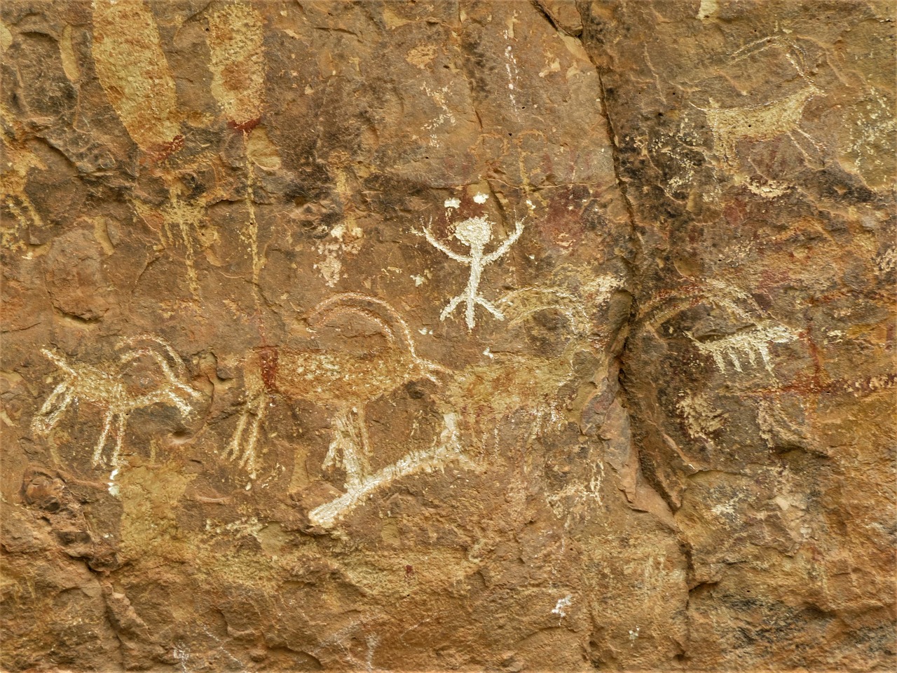 ancient petroglyphs red sandstone arizona free photo