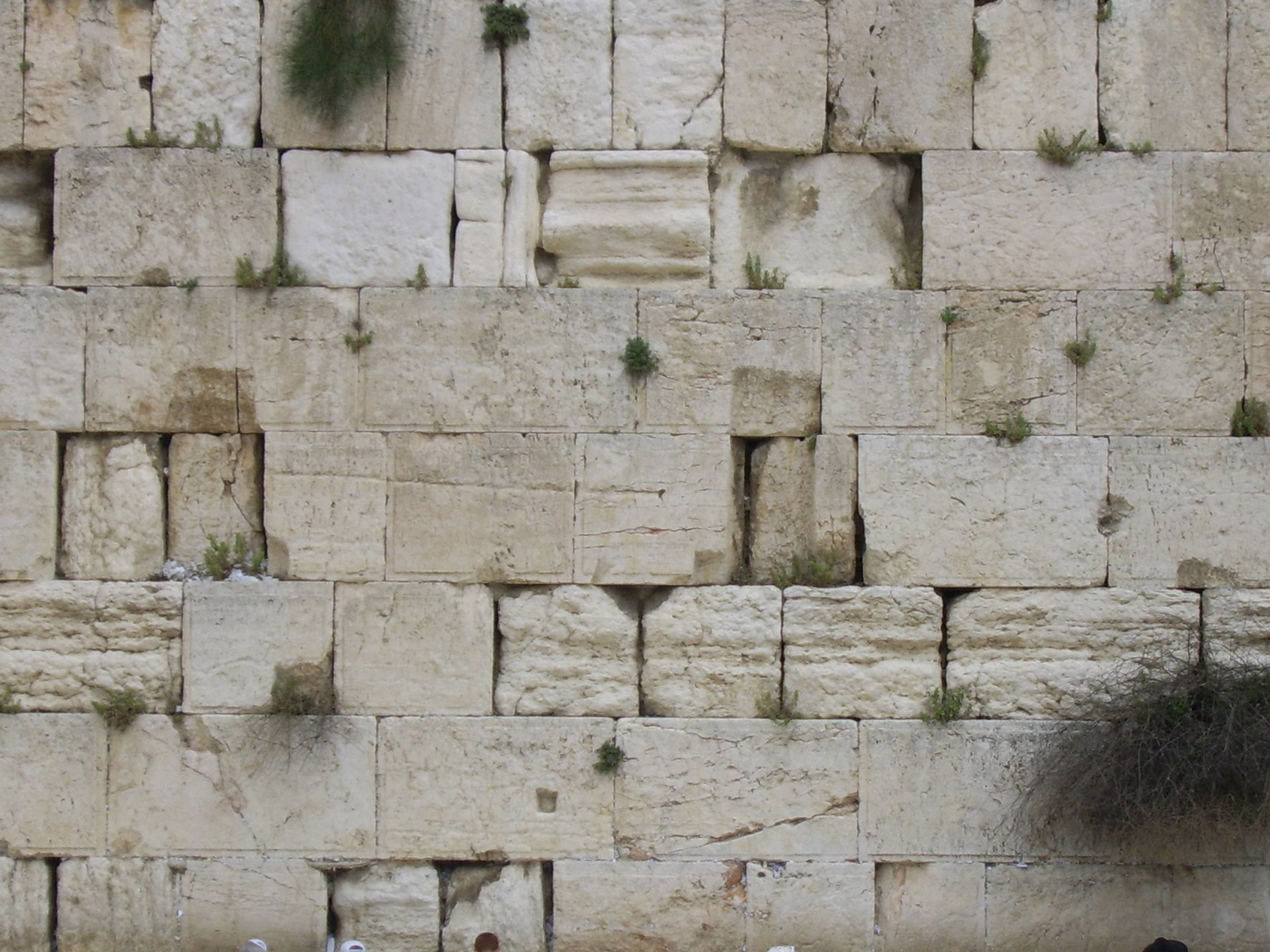 ancient wall jerusalem free photo