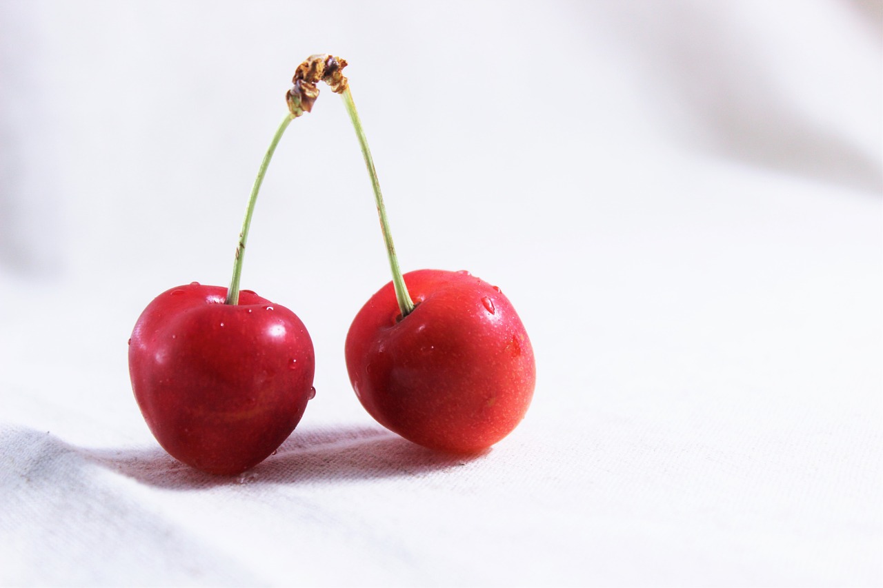 and cherries red fruit free photo