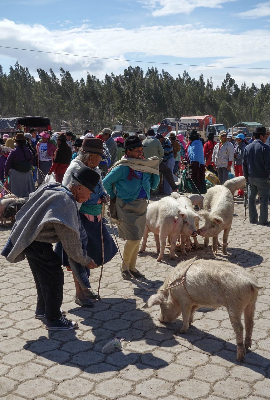 market ethnic minority quechua free photo