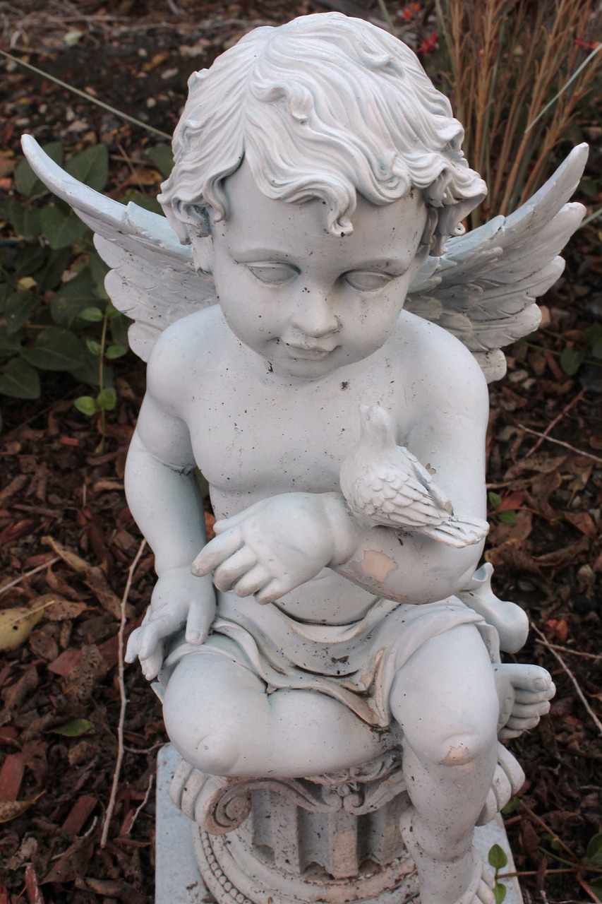 angel angel wings statue free photo
