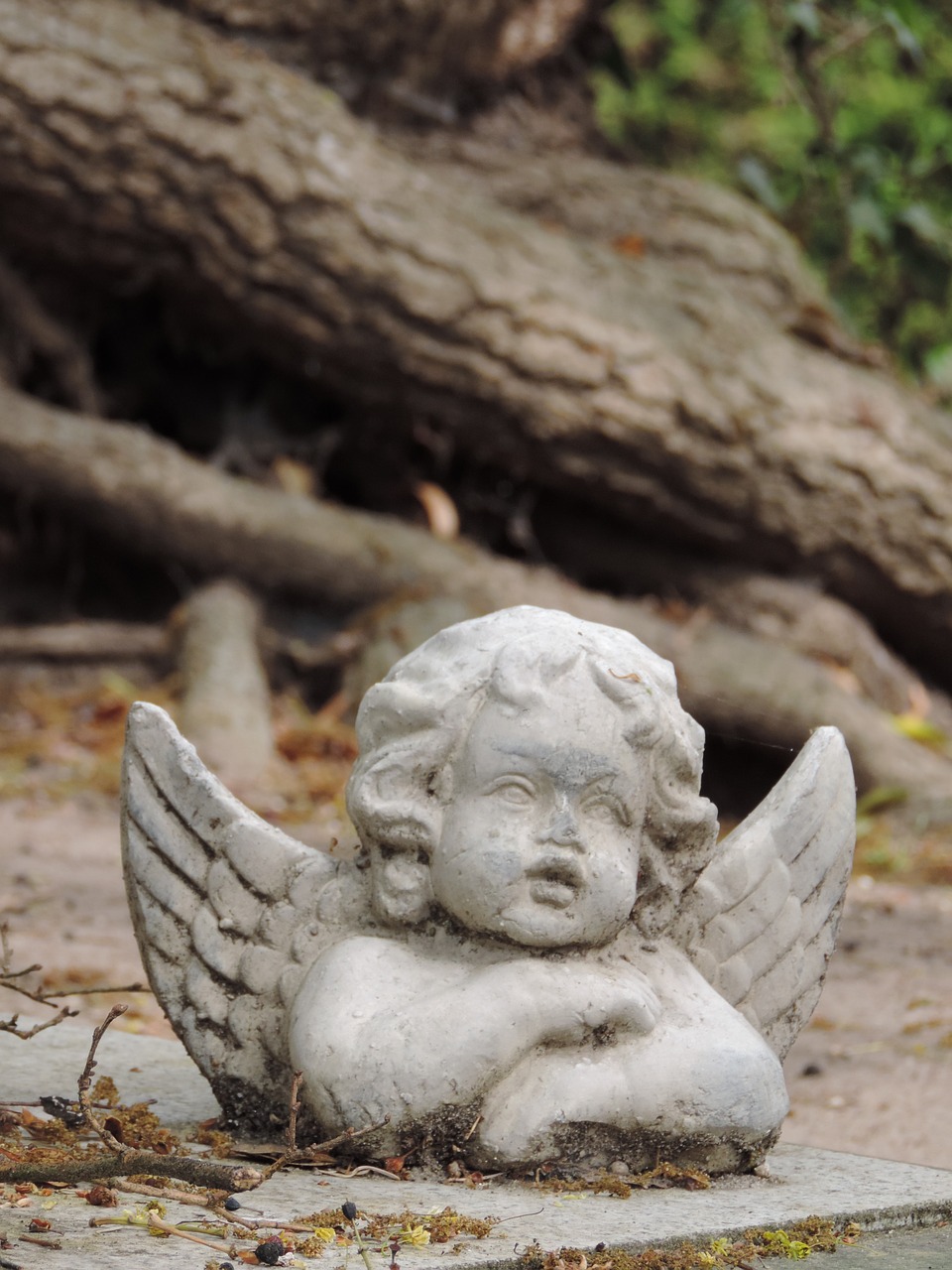 angel figure cemetery free photo