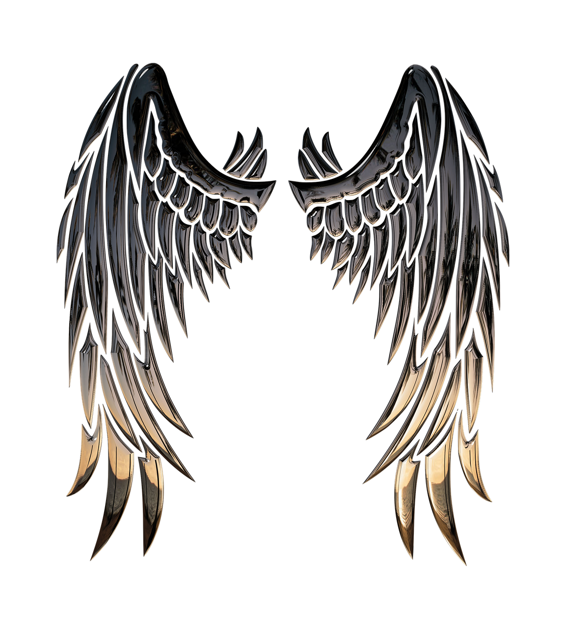 angel wings angel wings free photo