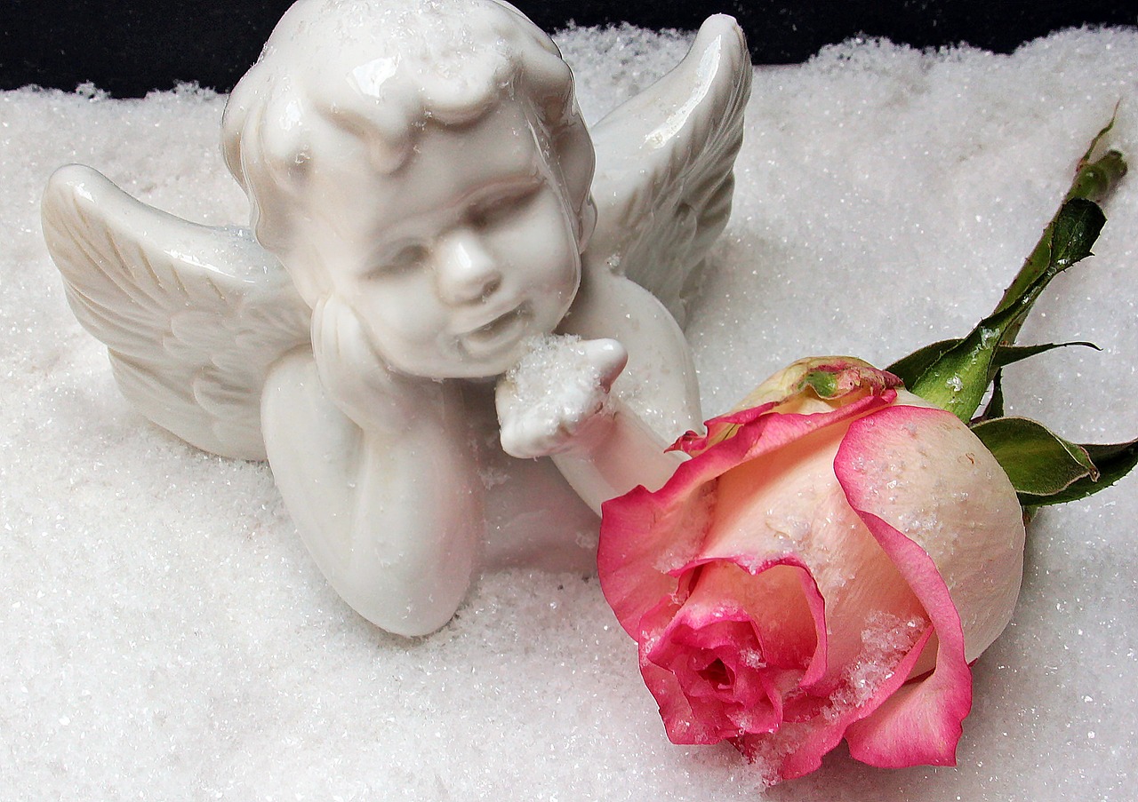 angel angel figure rose free photo