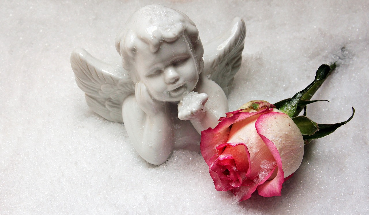 angel angel figure rose free photo