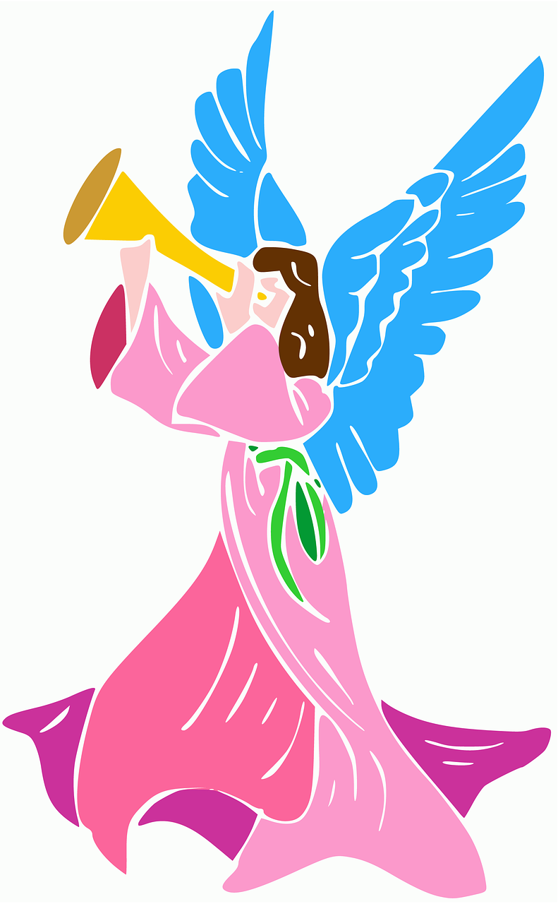 angel trumpet rosa free photo