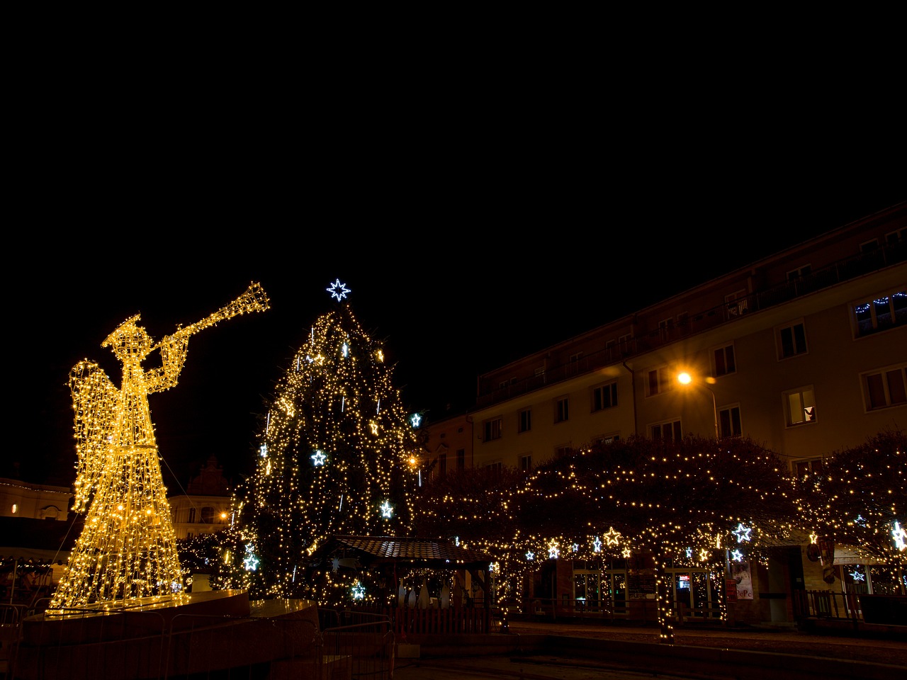 angel christmas sapling free photo