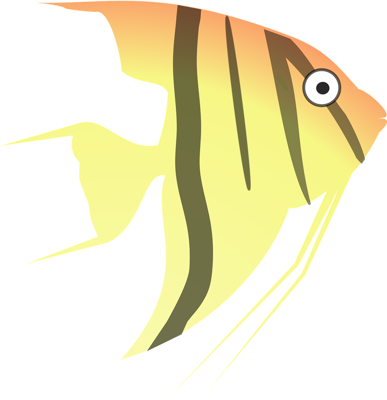 angel cartoon fish free photo