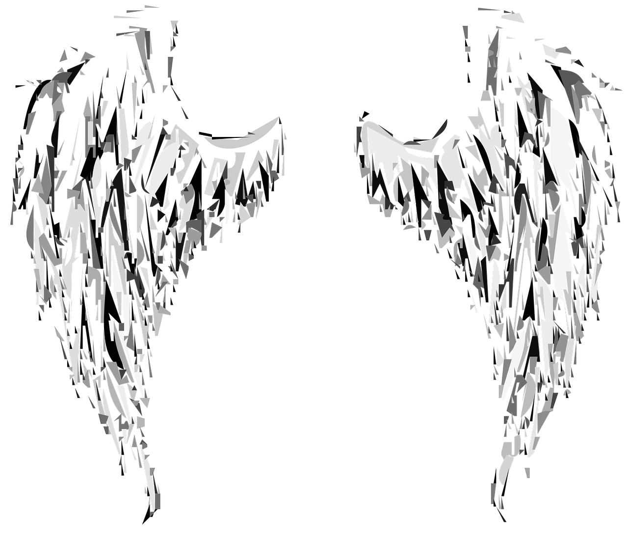 angel wings angel wings free photo