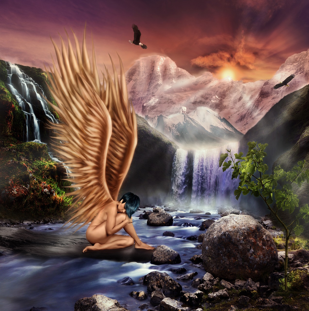 angel wings beauty free photo