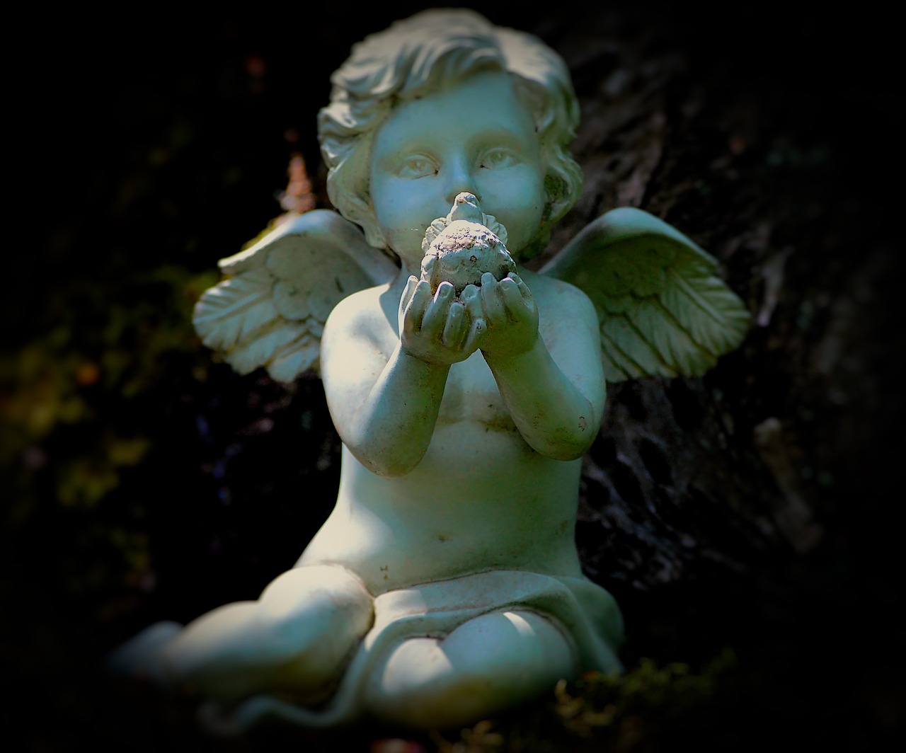 angel wing motif free photo