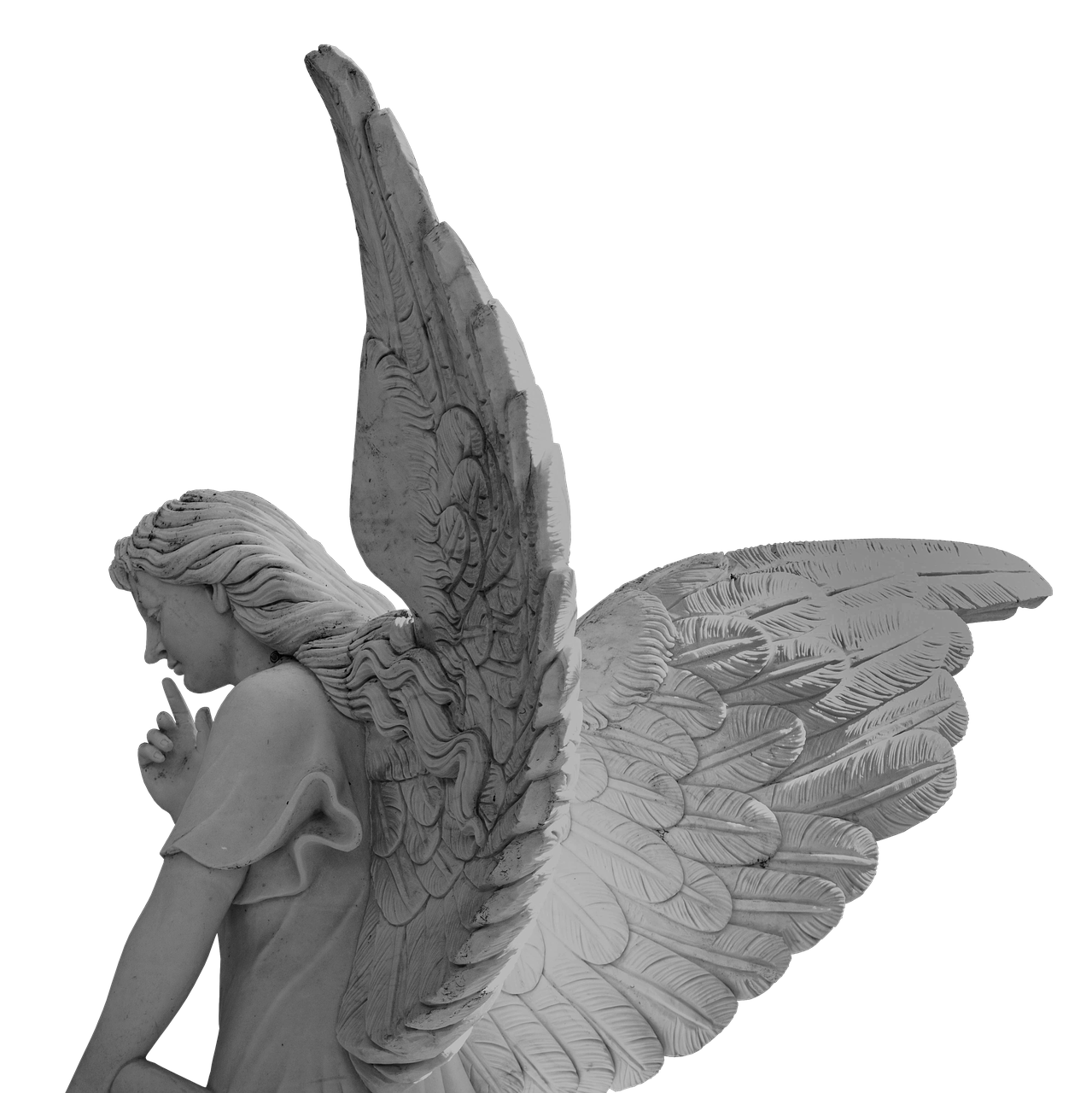 angel wing little angel free photo