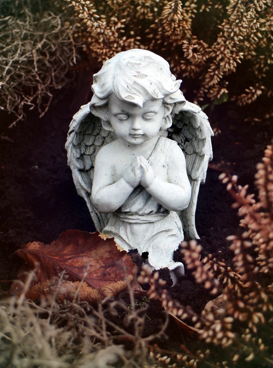 angel pray kneeling free photo