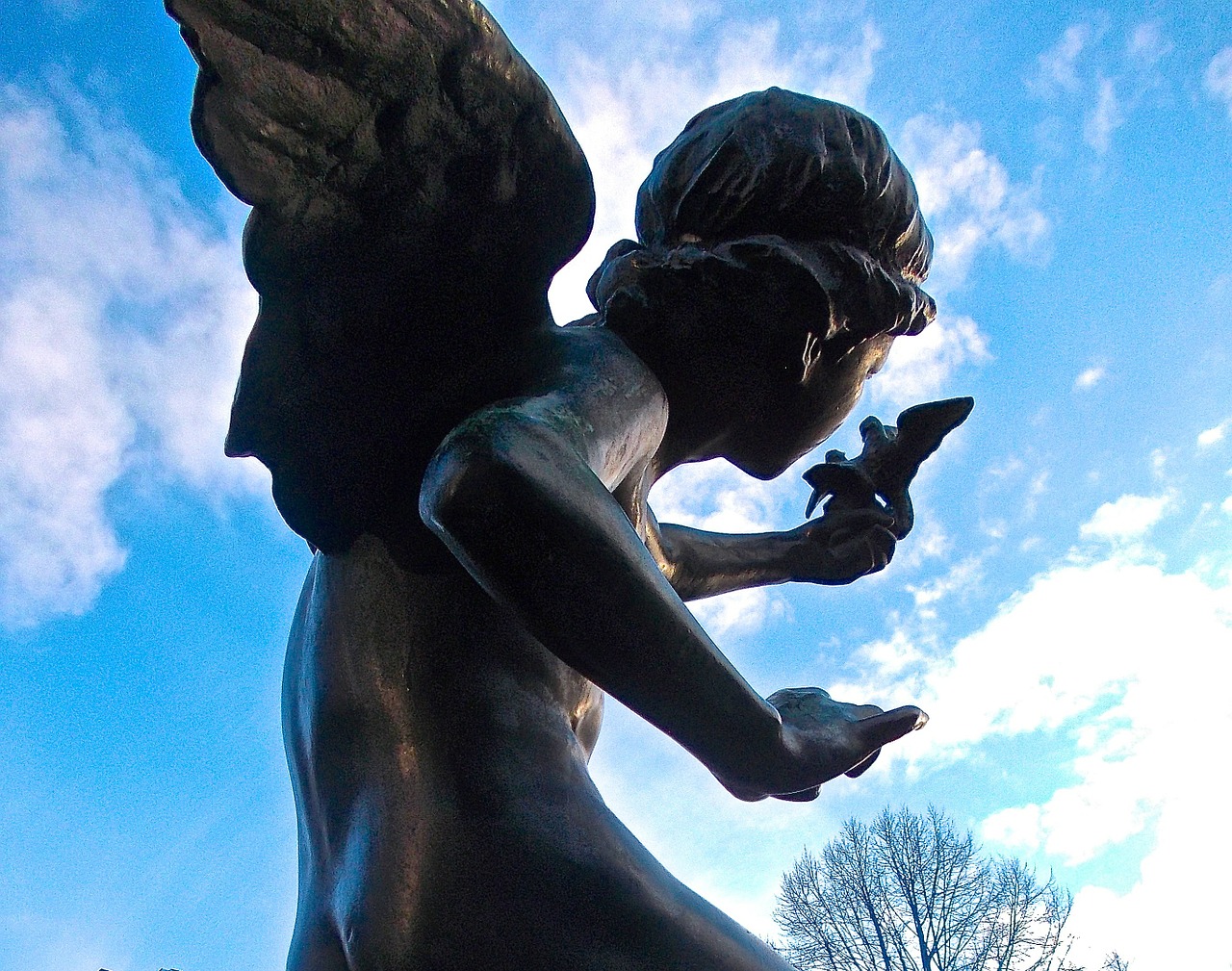 angel wings cherub free photo