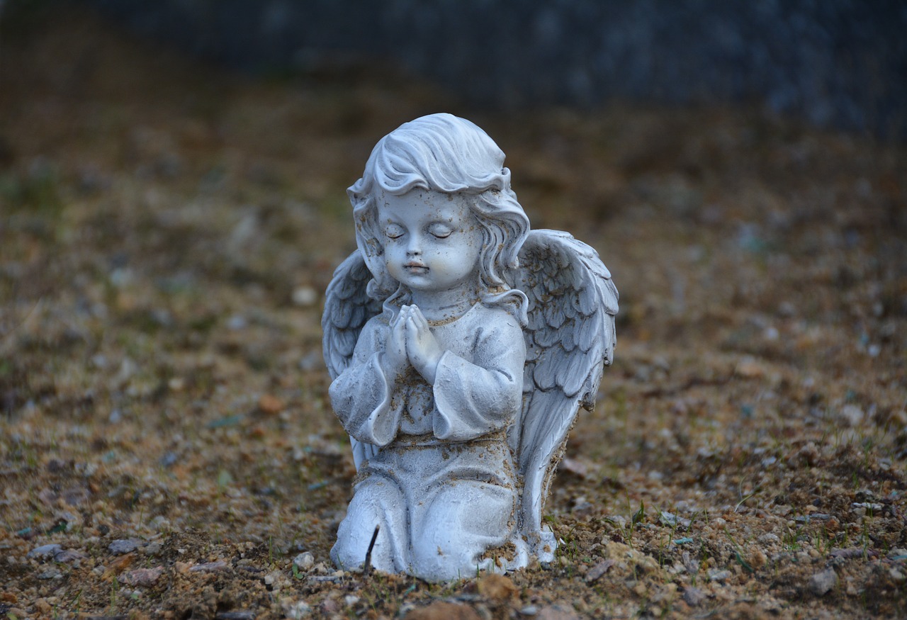 angel  white  figure free photo