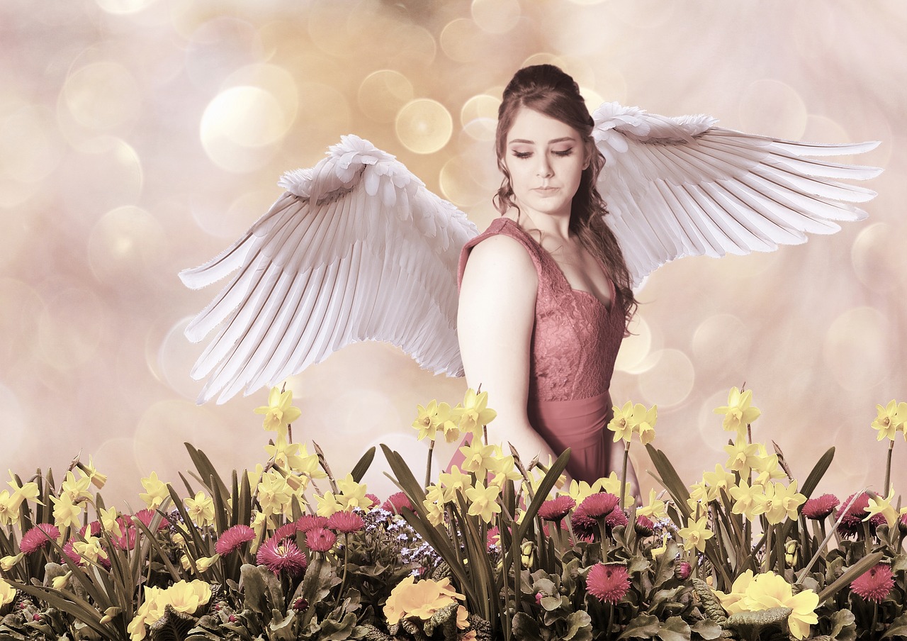 angel  wings  girl free photo