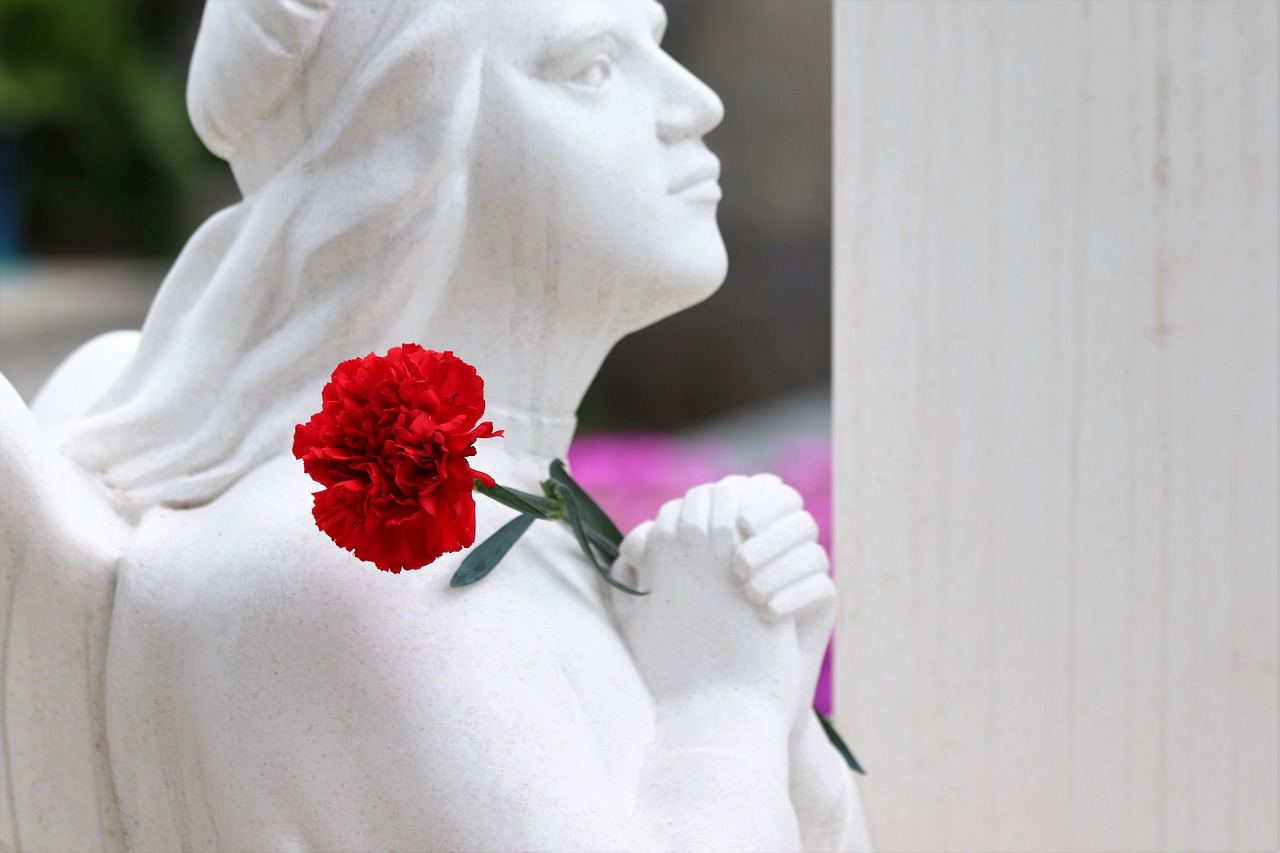 angel  praying  red carnation free photo