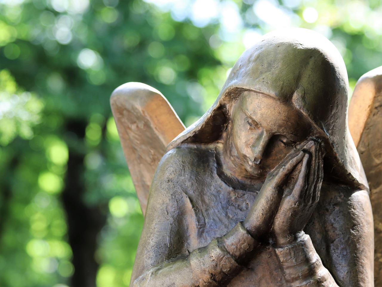 angel  wings  bronze free photo