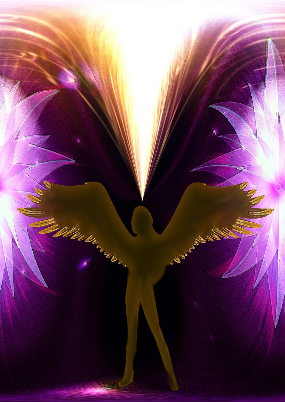 angel messenger wing free photo