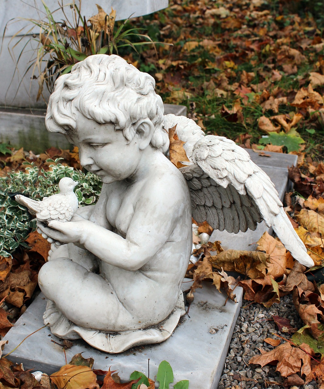 angel cemetery sculpture free photo