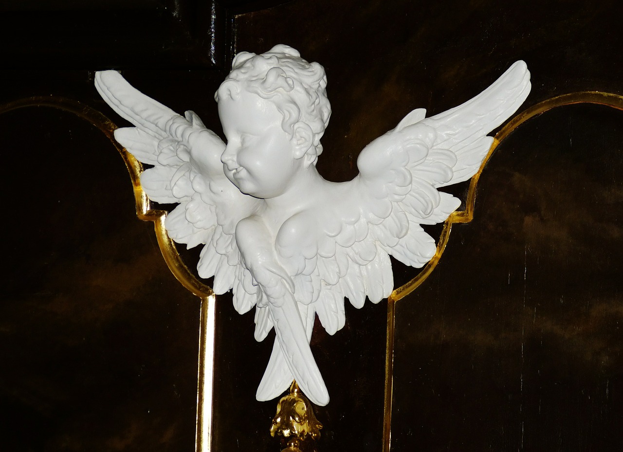 angel wing figure free photo