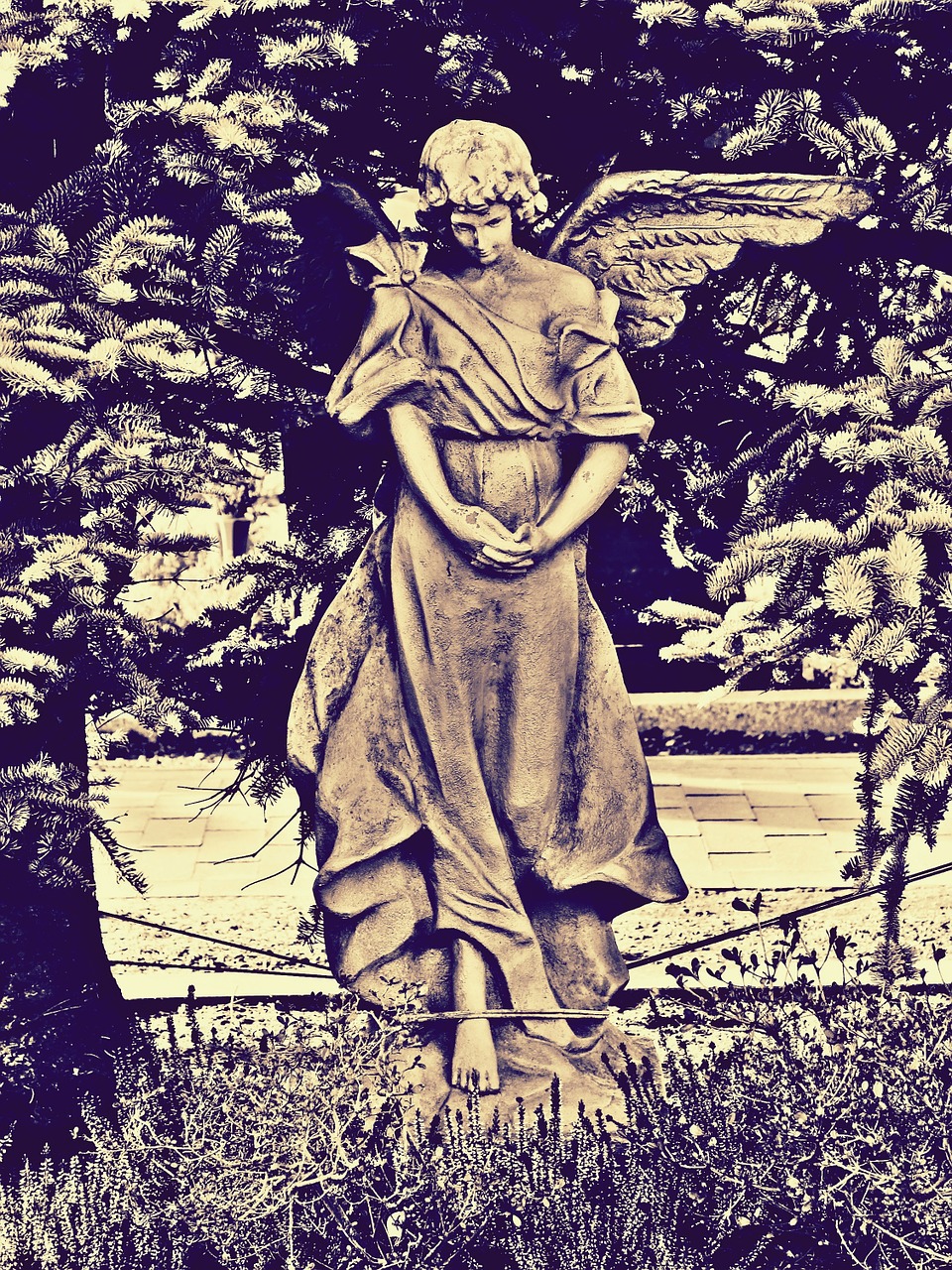 angel stone angel cemetery free photo