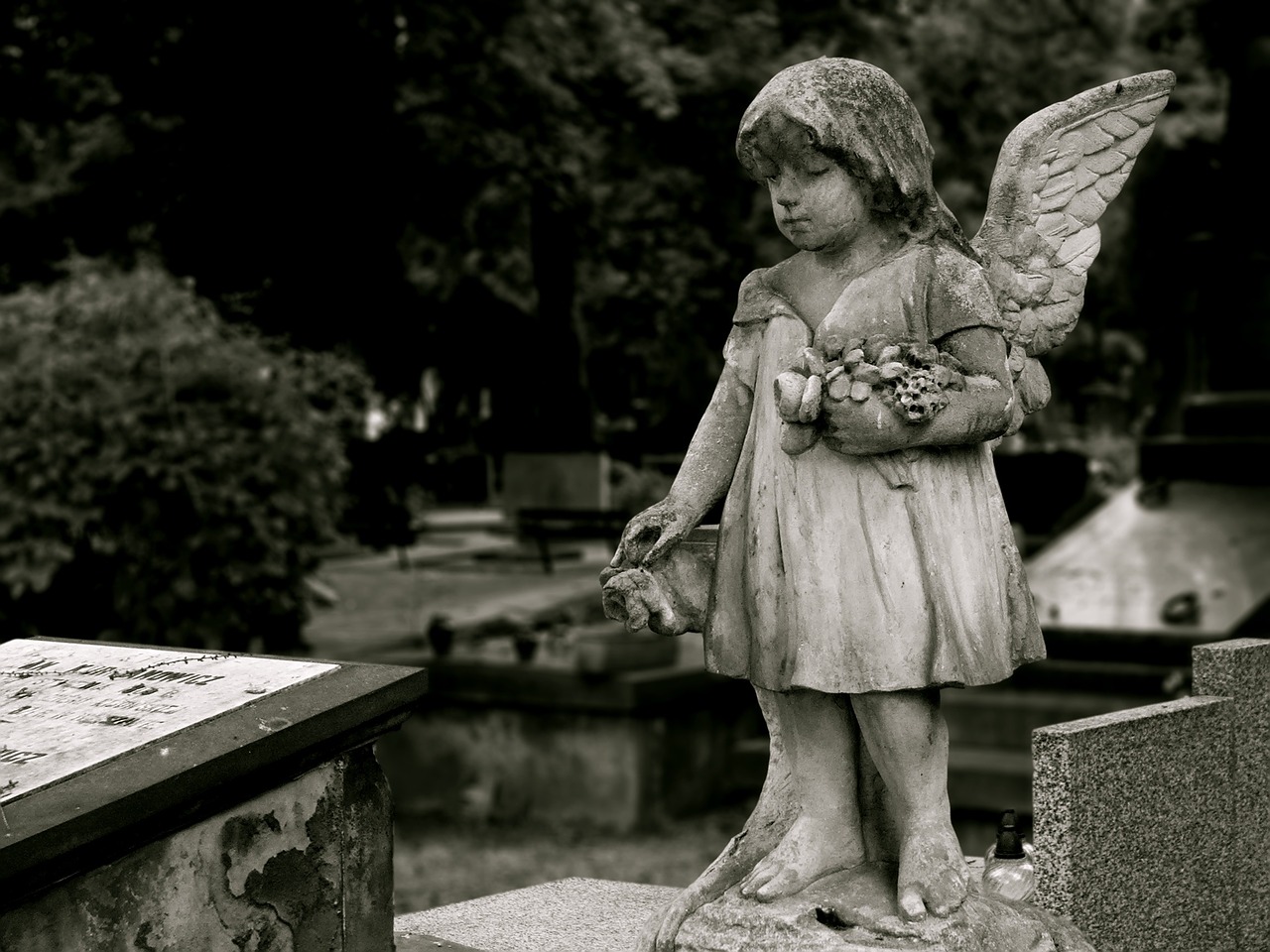 angel cemetery the dead free photo