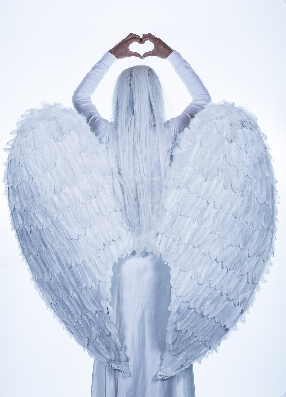 angel wings girl free photo