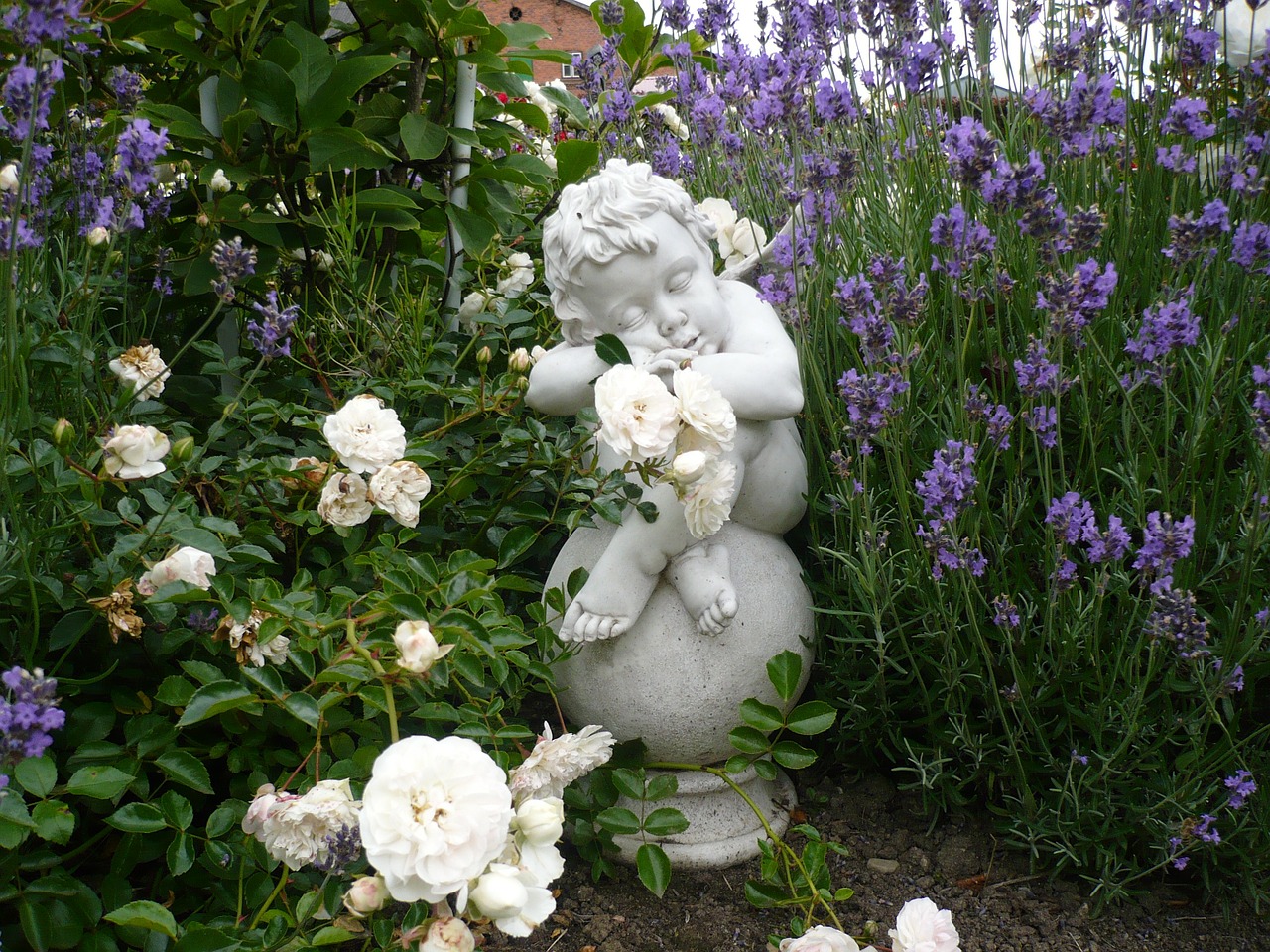 angel garden flowers free photo