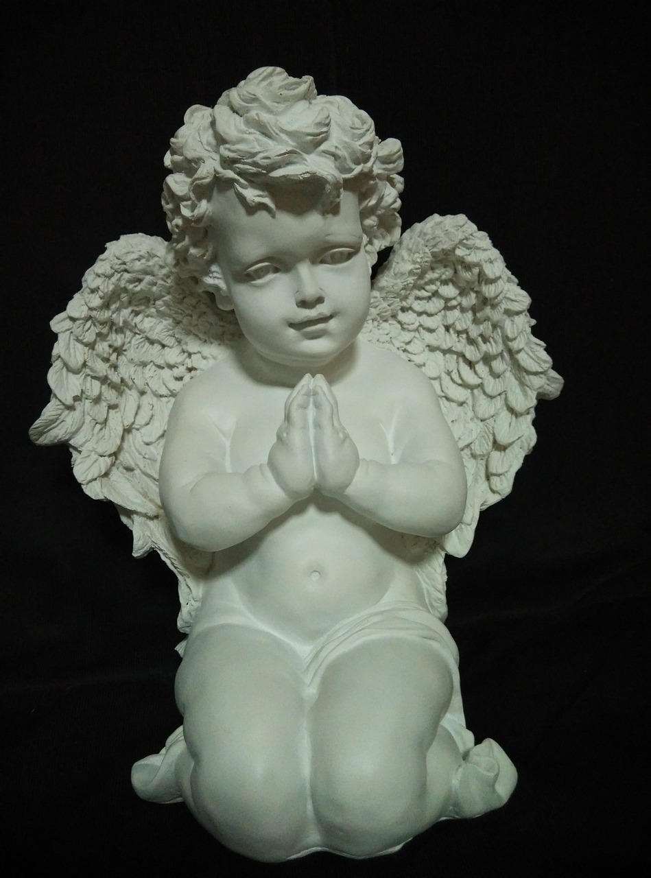 angel baby wings free photo