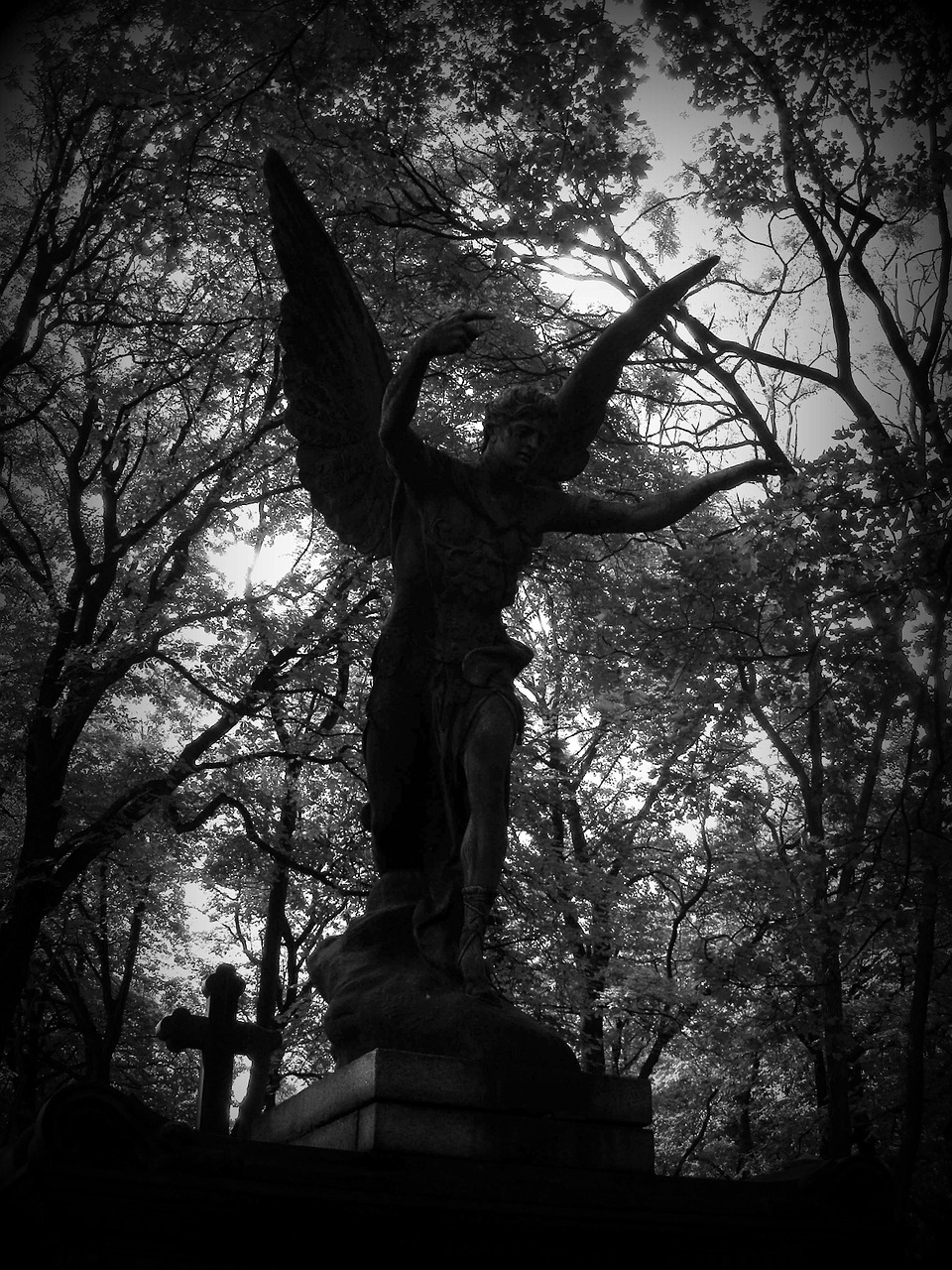 angel cemetery powązki free photo