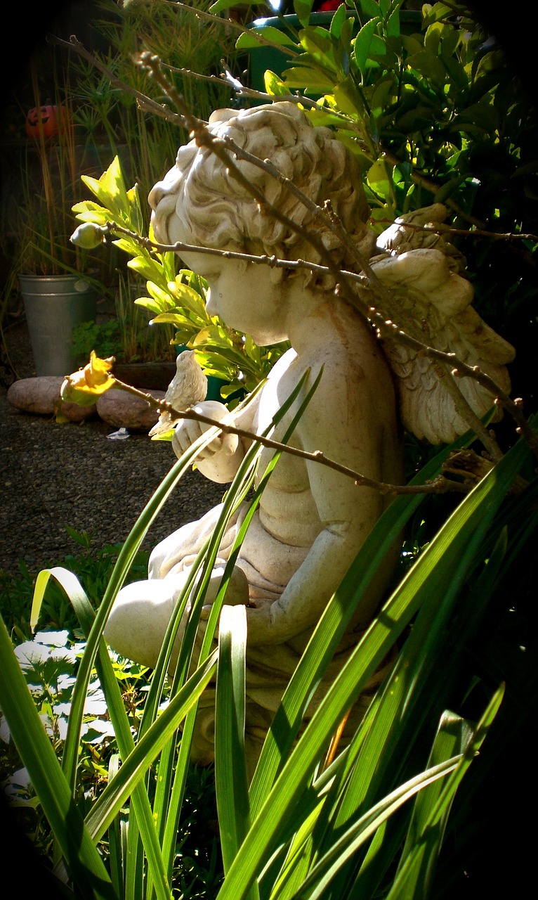 angel garden close free photo