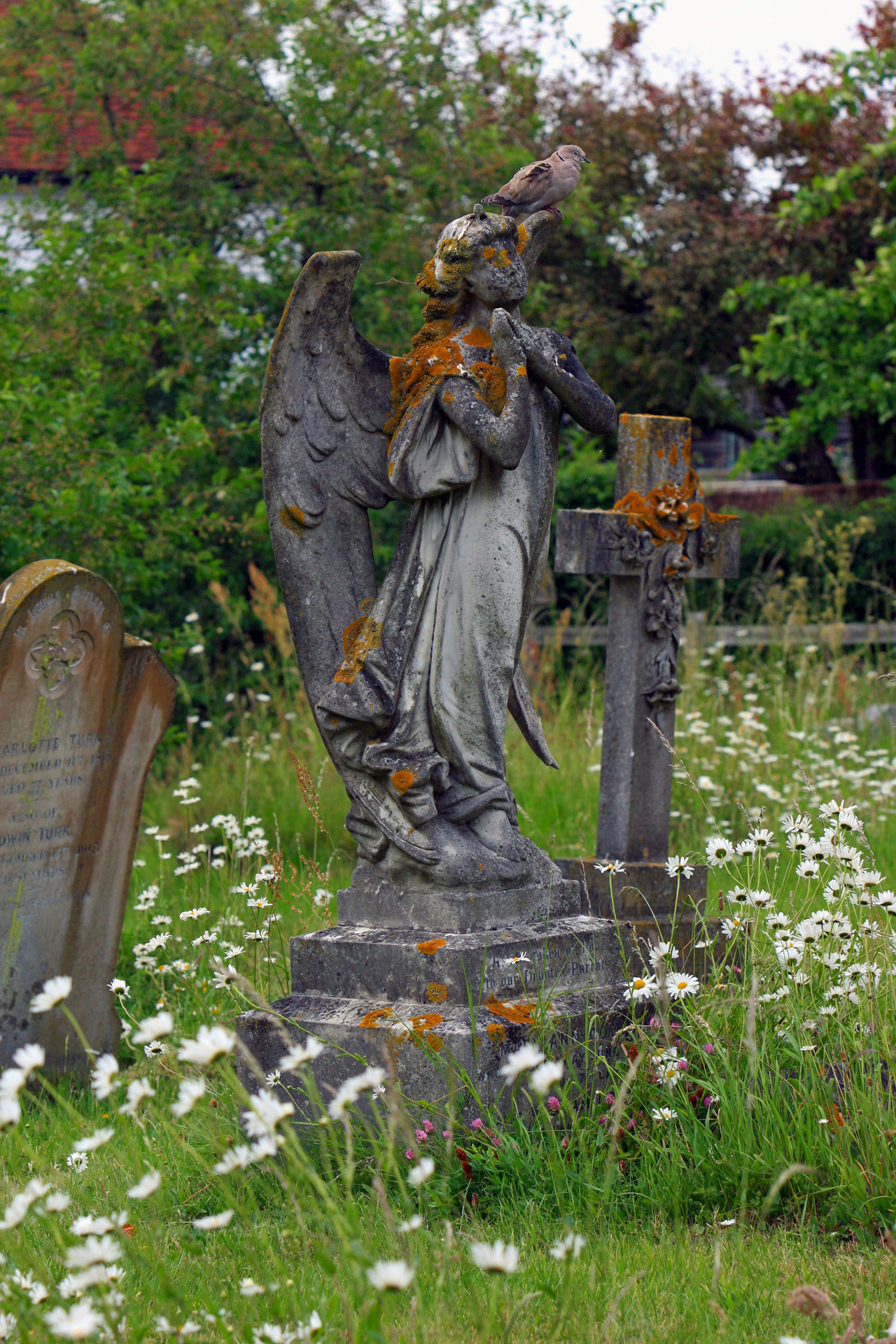 angel statue gravestone free photo