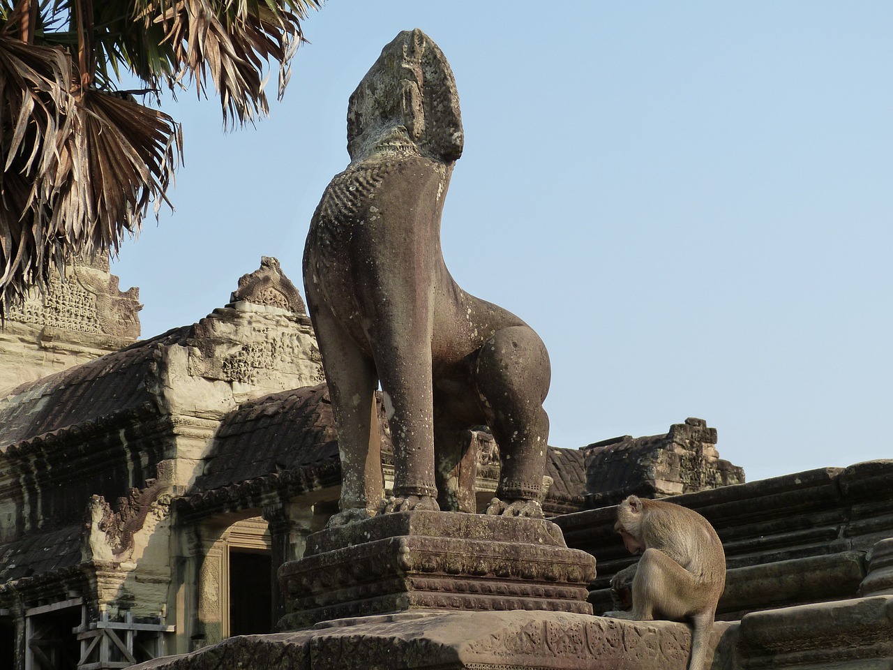 angkor angkor wat cambodia free photo