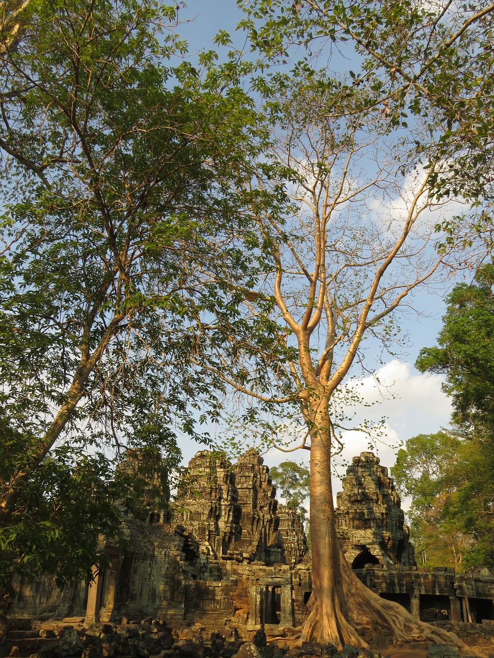 angkor wat cambodia free photo