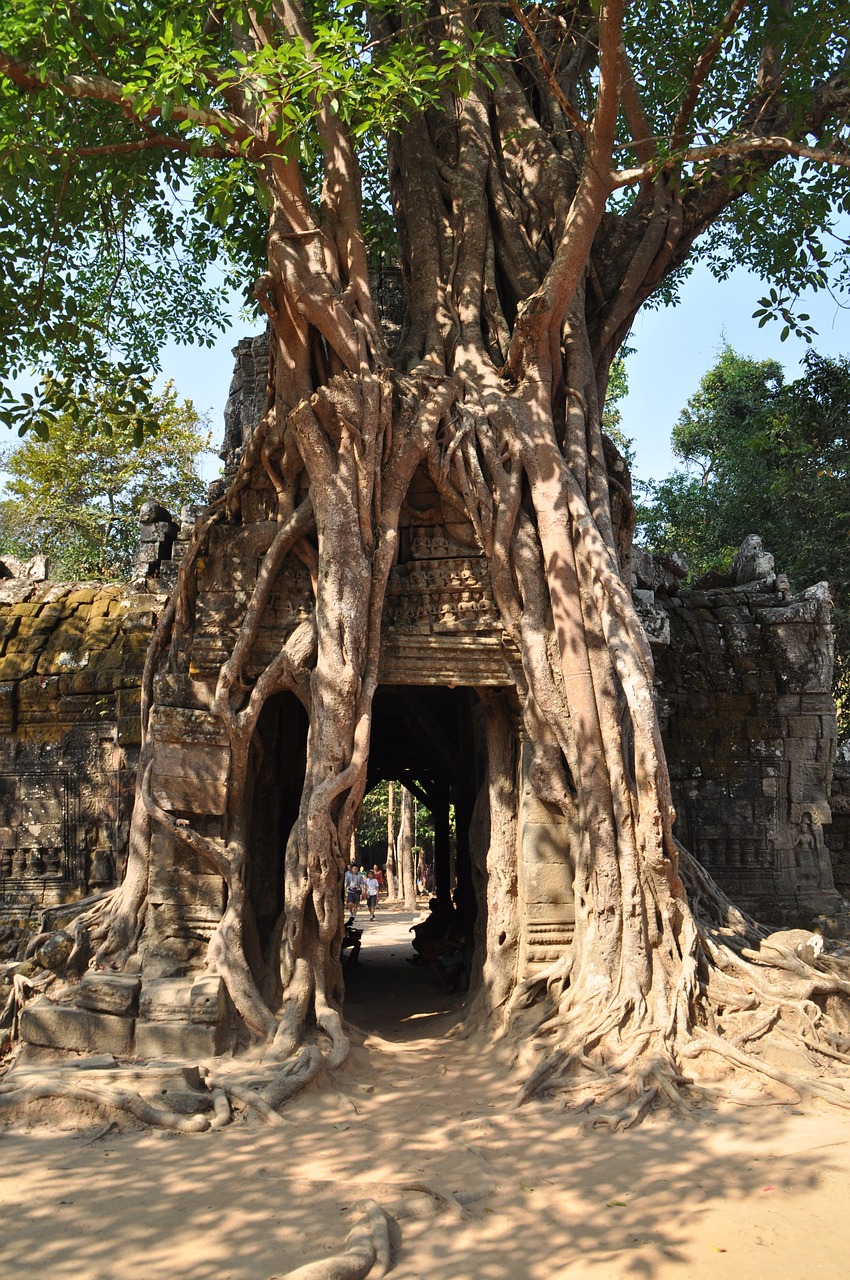 angkor hinduism faces free photo