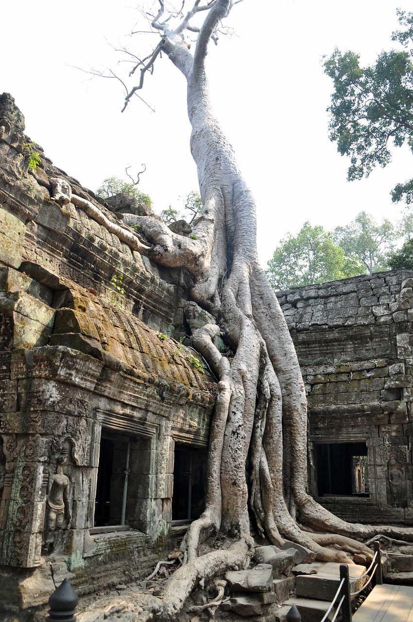 angkor hinduism faces free photo