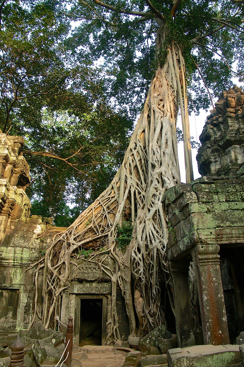 angkor thom cambodia ruin free photo