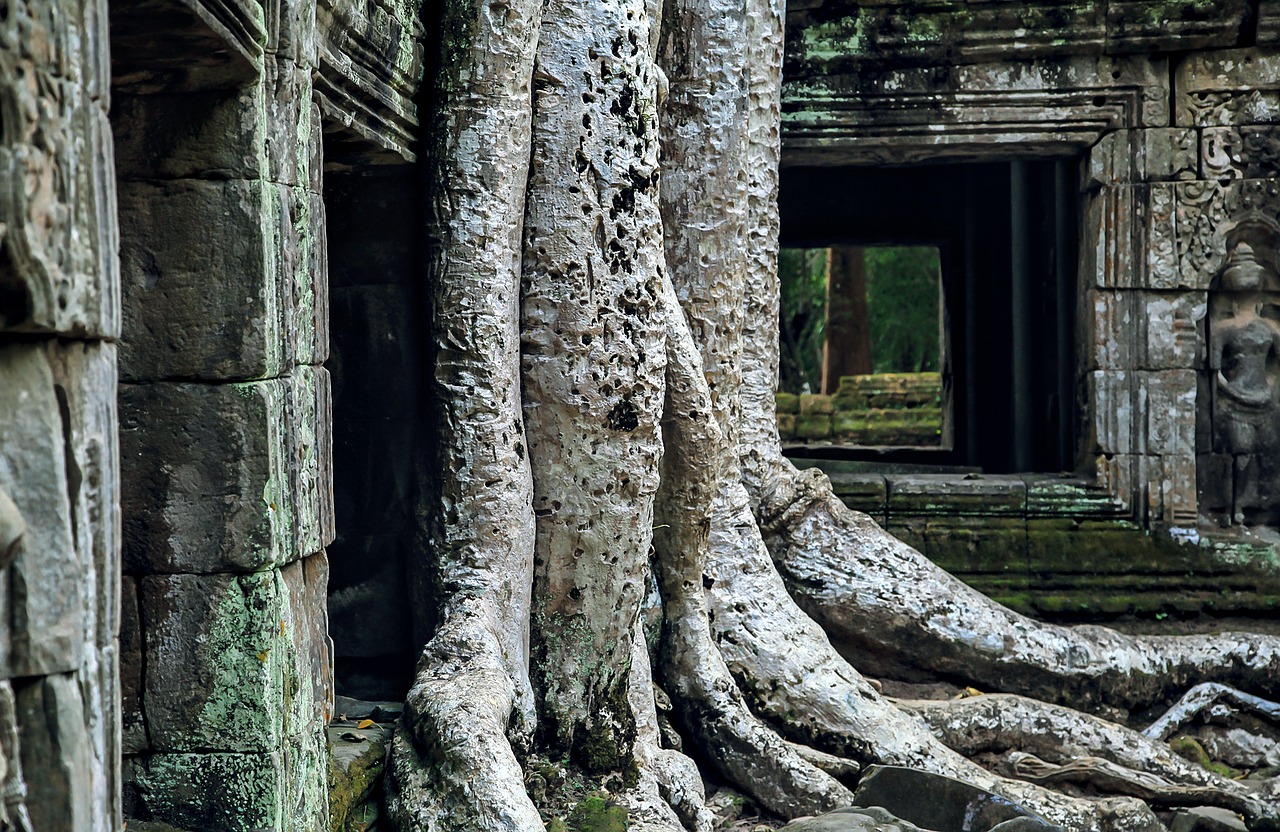 angkor wat campo asia world heritage site free photo